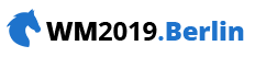 wm2019.berlin logo